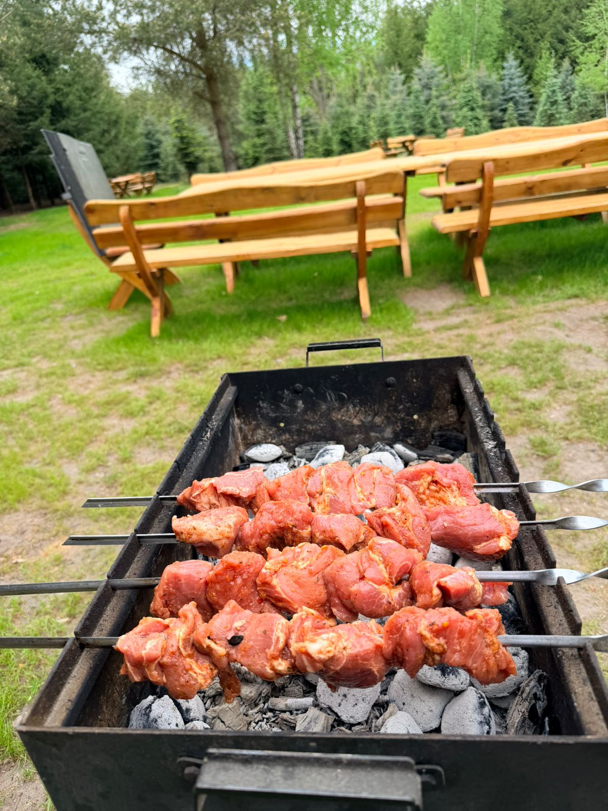 Grill i mangal