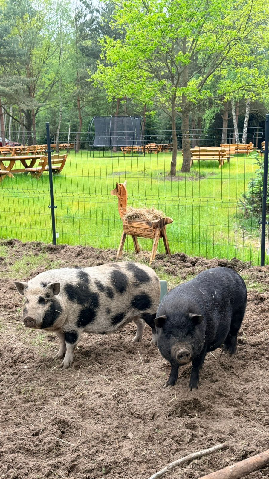 Mini Zoo i plac zabaw