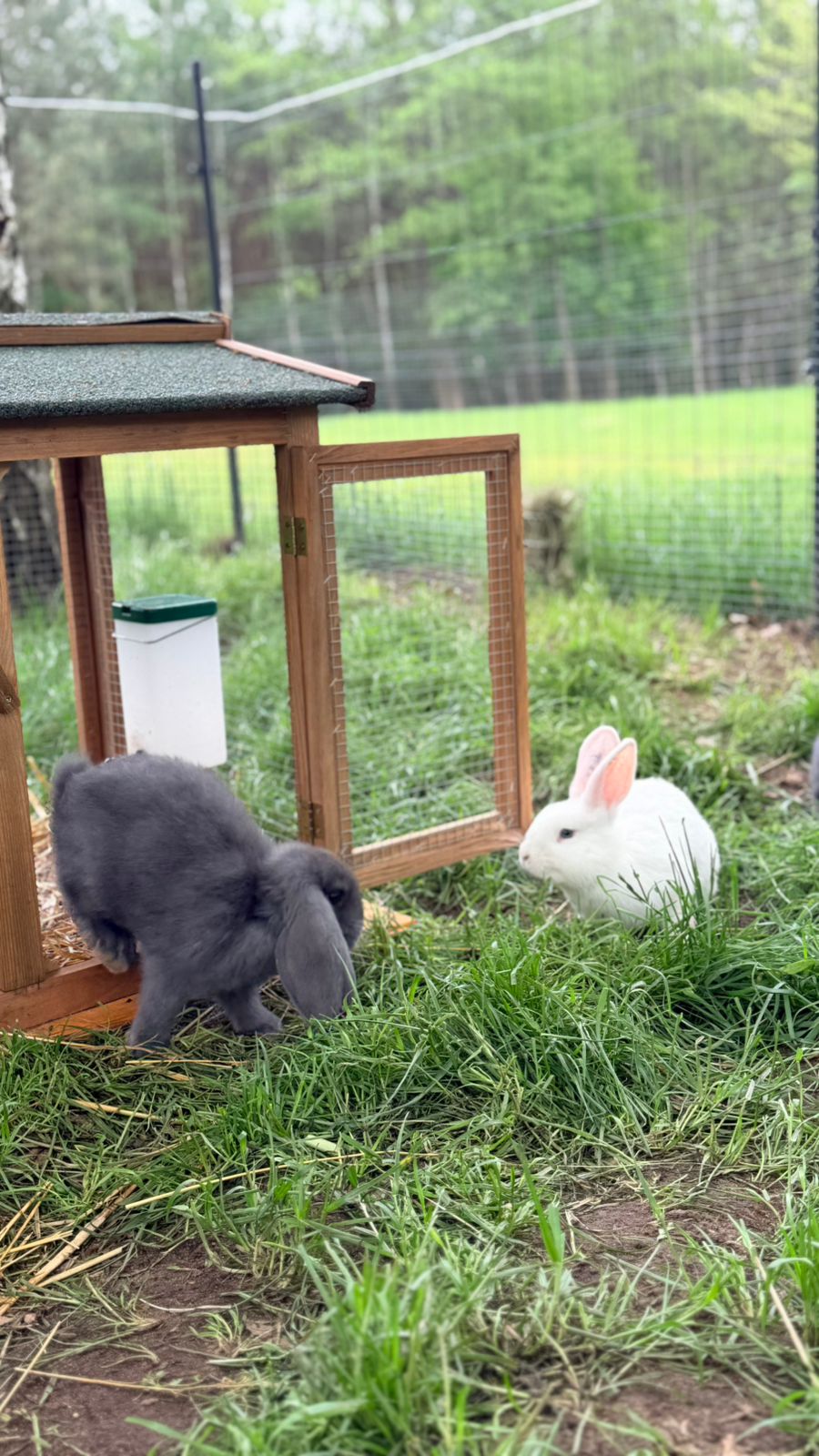 Mini Zoo i plac zabaw