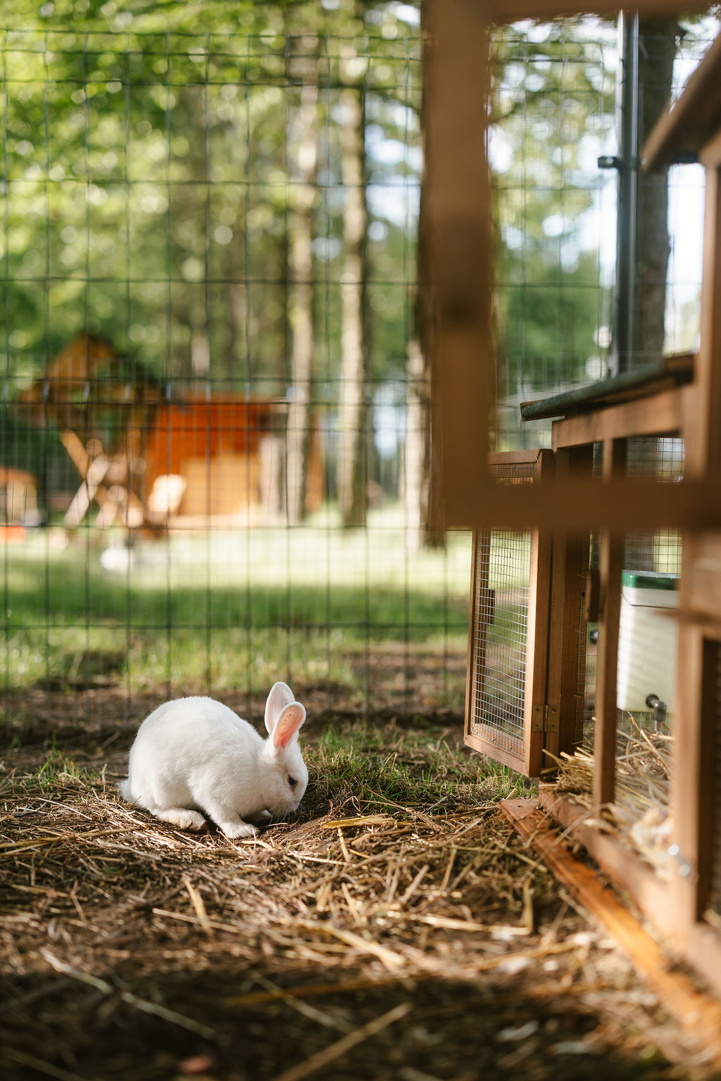 Mini Zoo i plac zabaw