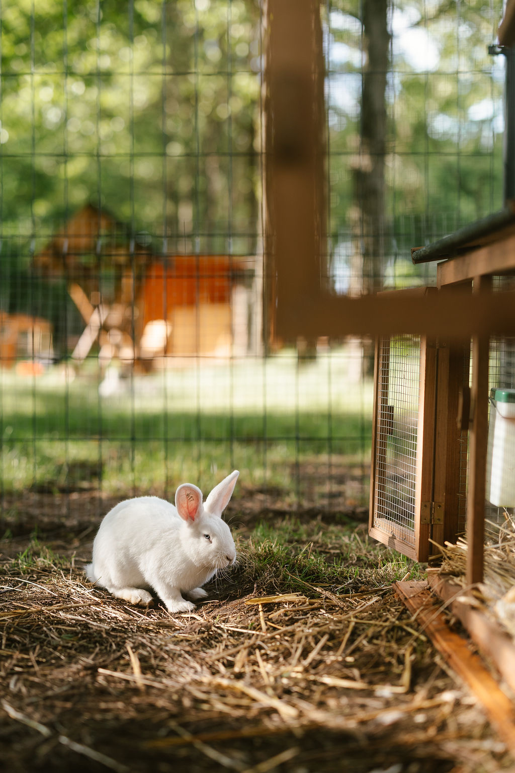 Mini Zoo i plac zabaw