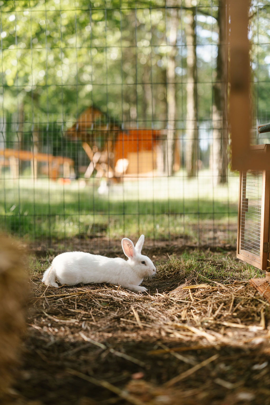 Mini Zoo i plac zabaw
